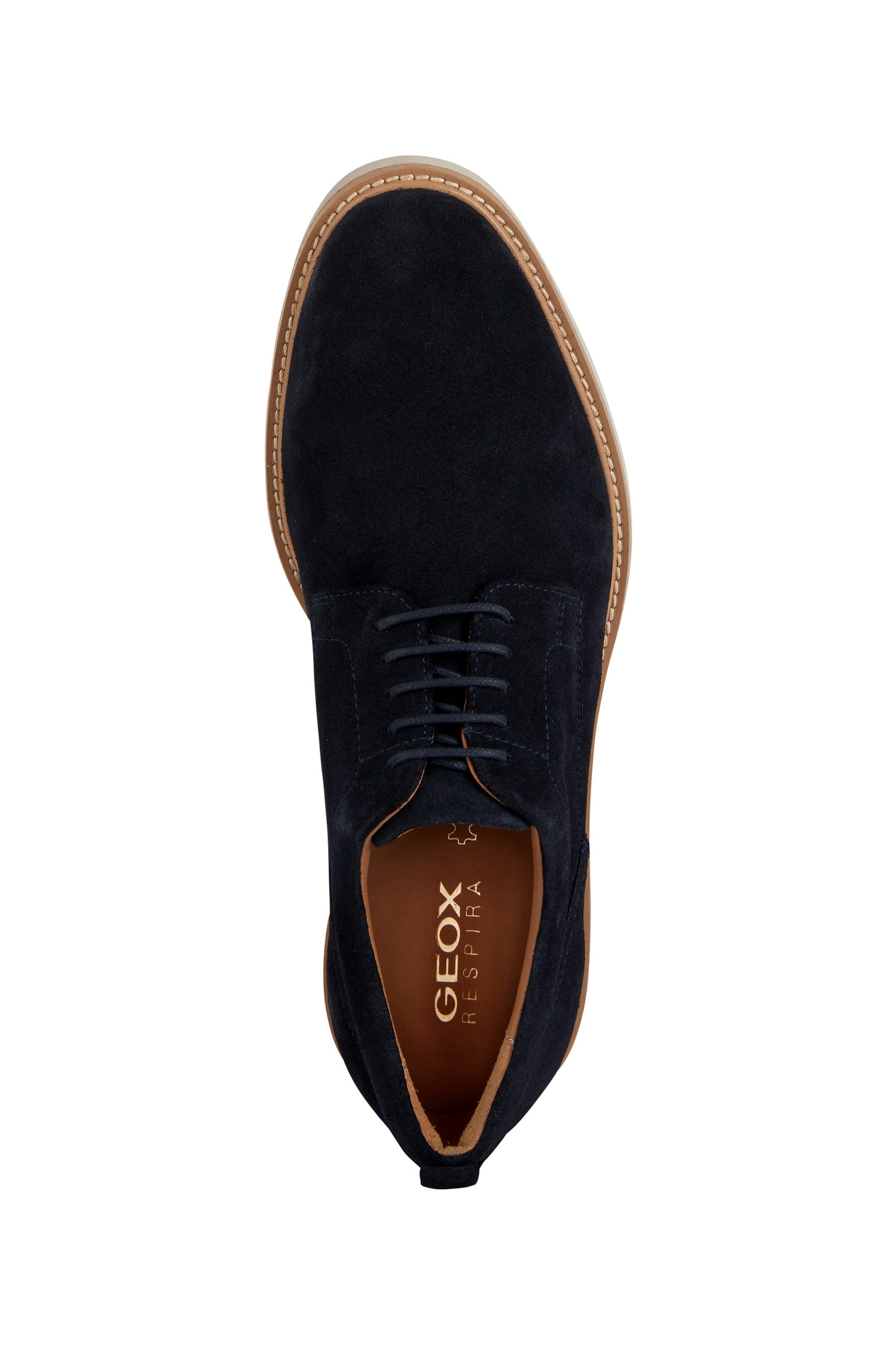 Geox Mens Gubbio Suede Shoes - Navy