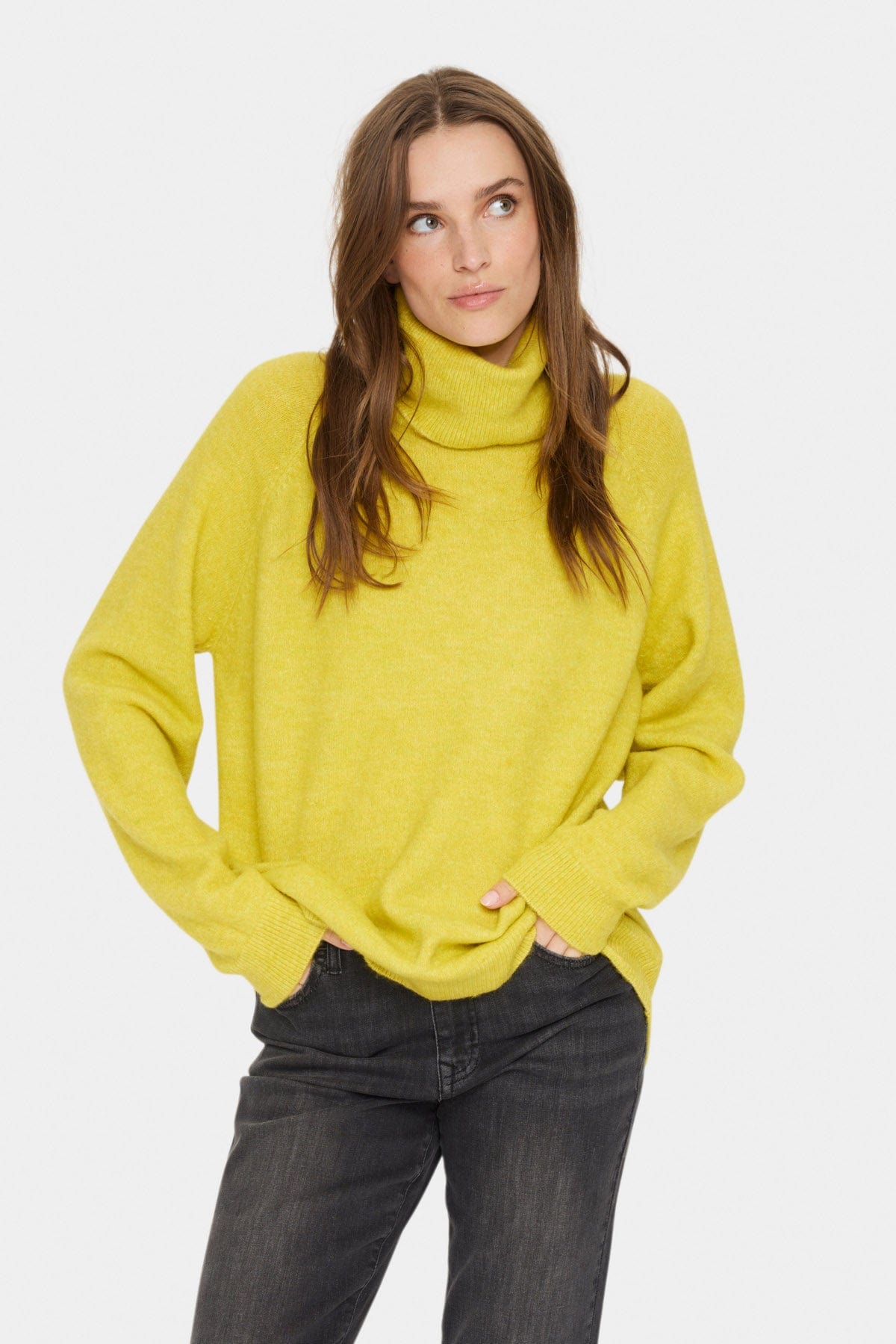 Saint Tropez Garbie Rollneck Jumper - Celery